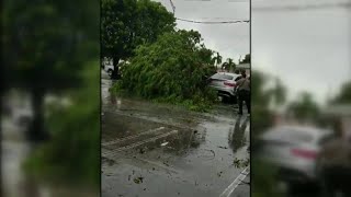 Suspected tornado touches down in southwest Miami-Dade County