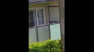 2852 742200220004519937 47b27ad9 8a59 4e11 9912 9cc16eded749 preview