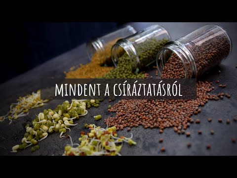 Videó: 5 módja a háttérkép készítésének