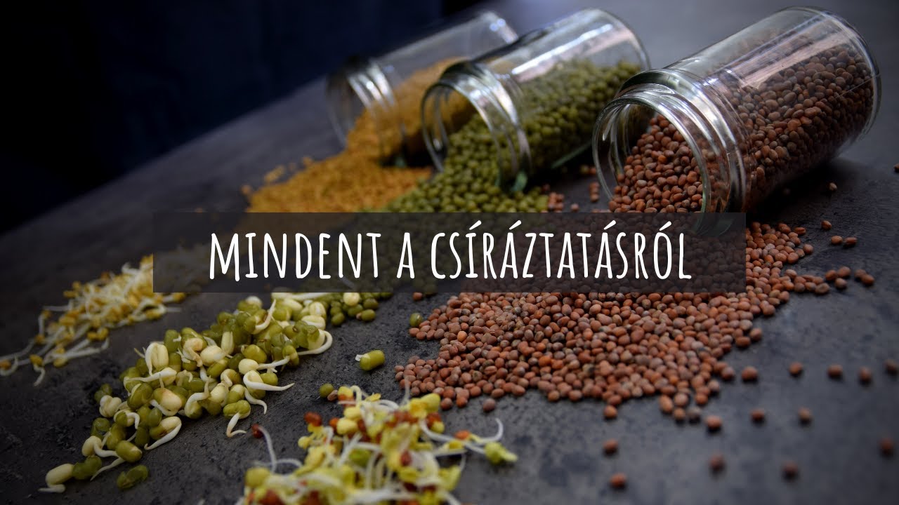 Mindent a csíráztatásról - házilag, egyszerűen, olcsón
