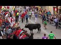 Fiestas de Cuéllar: Segundo Encierro Lunes 28 de Agosto