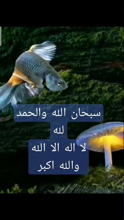 Subhanallah