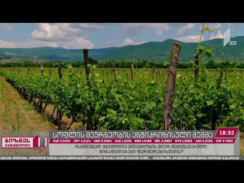 ფერმერთა მხარდასაჭერად მთავრობამ 300 მლნ ლარი გამოყო