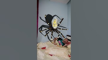 Thumbnail of OMG Super Giant SPIDER 🕷️🕸️ in bed 🤪 #shorts by PIBABU