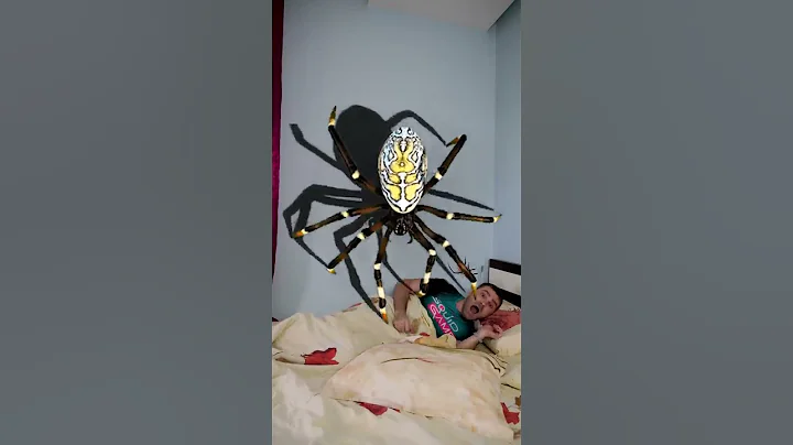 OMG Super Giant SPIDER 🕷️🕸️ in bed 🤪 #shorts by PIBABU
