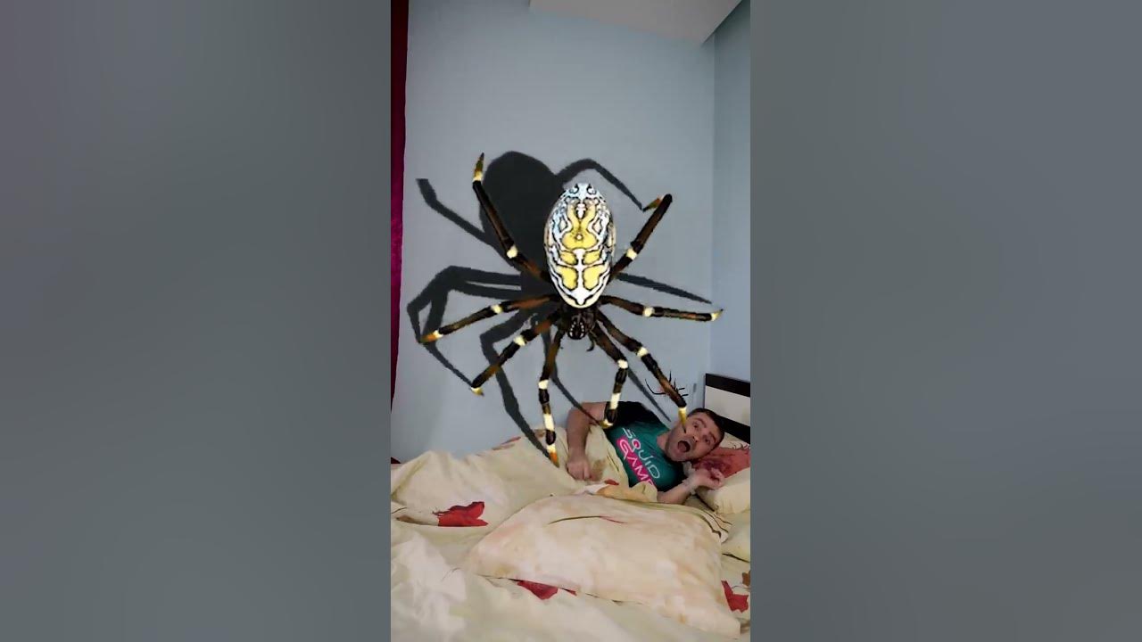 OMG Super Giant SPIDER 🕷️🕸️ in bed 🤪 #shorts by PIBABU