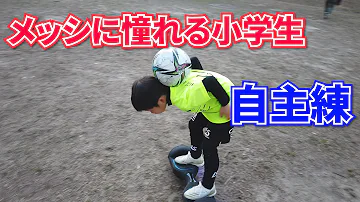 メッシリフティング メッシリフティング