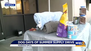 Norfolk SPCA holds supply drive