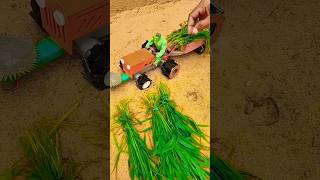 Amazing DIY Mini Tractor Hay Cutter 🚜 | Satisfying Mini Farming & Grass Cutting Process #Shorts