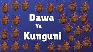 Dawa ya Kuua Kunguni mara 1 tu