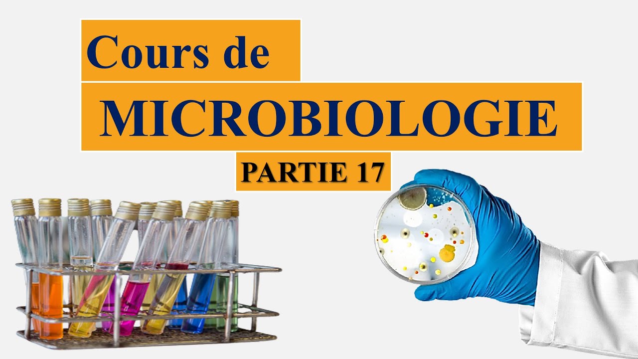 Cours de microbiologie partie 17: métabolisme bactérien - YouTube