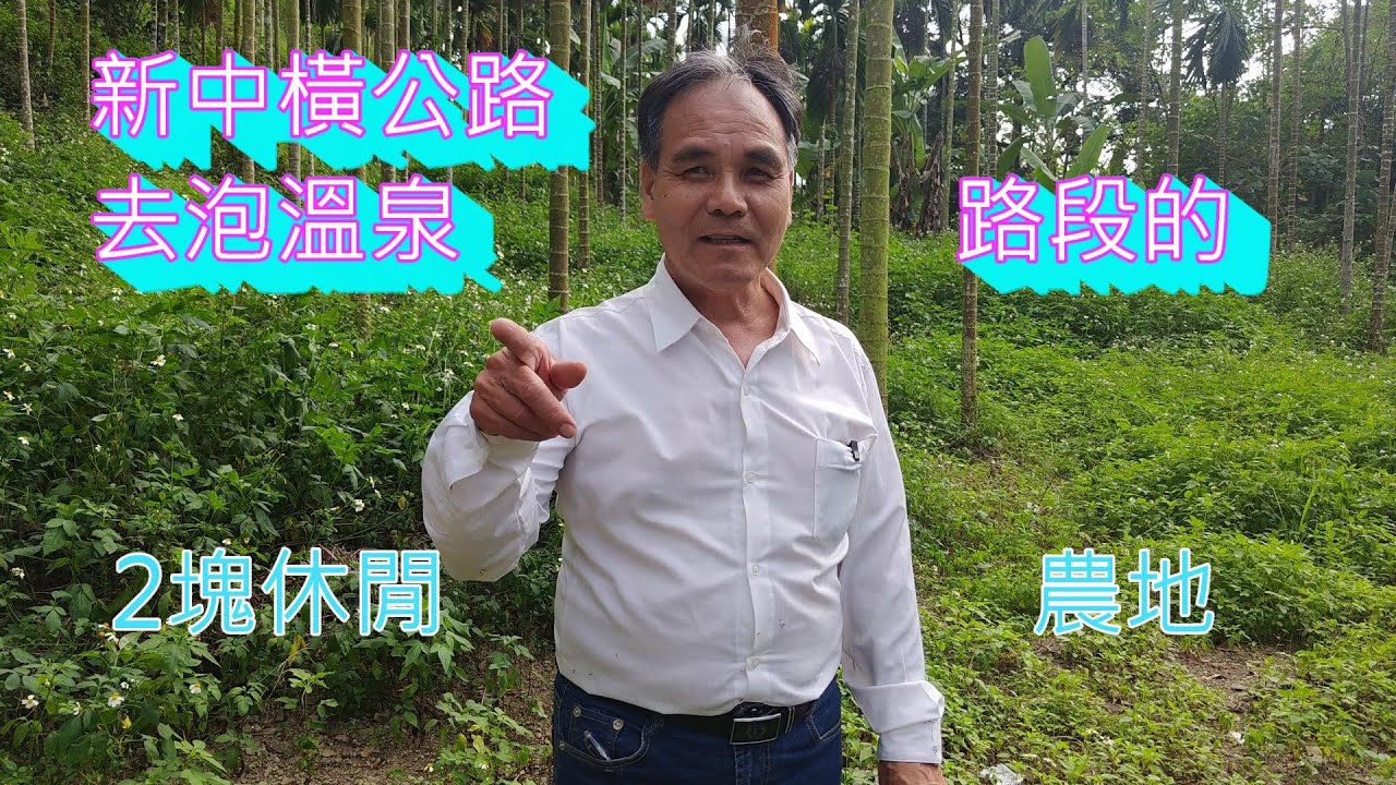 (263) 降價了！每坪0.23萬，總價388萬， 南投水里農地，正新中橫公路，有電、有山泉水，土地1666.61坪   (另外一塊售出了)  (263)