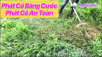 Phát Cỏ Bằng Cước : Máy Phát Cỏ Ba Lô@AnhCắtCỏ #máyphátcỏ #máycắtcỏ #nongnghiep #maycatco #anhcatco
