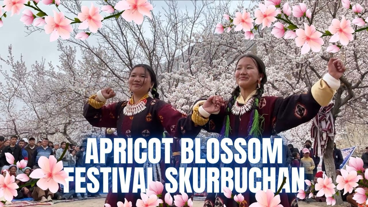 APRICOT BLOSSOM FESTIVAL(Skurbuchan)
