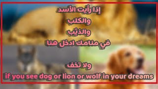 تفسير الأسد والكلب والذئب في المنام meaning of Lion, wolf, and dog in dreams.