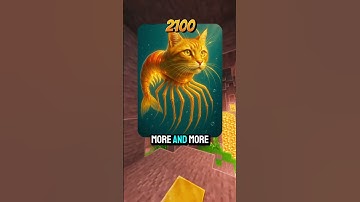 Thumbnail of Tripi Tropi 2025 vs 2400