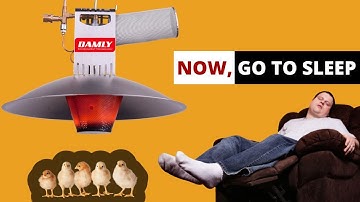 BEST GAS BROODER FOR POULTRY (FULLY AUTOMATIC)