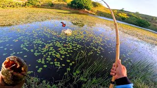 CAPTUREI AS ISCAS NO CÓRREGO E FUI ATRAS DAS DEVORADORAS DE LAMBARI! Pescaria caipira de Trairá