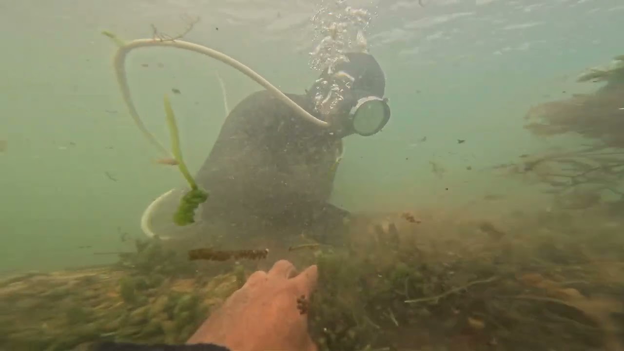 khoảnh khắc làm sạch ngôi mộ dưới nước thấy ấm lòng