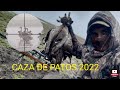 CAZA DE PATOS 2022 caza de pato real pato jergon grande y pato jergon chico muchos tiros