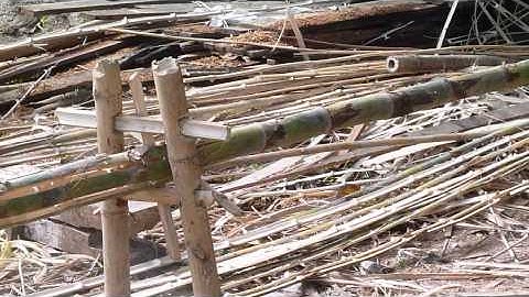 Splitting bamboo in Laos