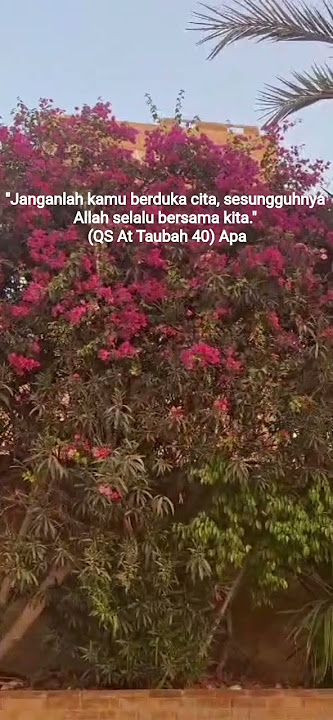 Sholawatullah 'ala Rosulika #sholawat #quotes #mitivation #shorts #beautiful