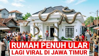 VIRAL..! HOUSE FULL OF SNAKES IS GOING VIRAL IN EAST JAVA