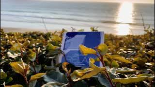 Blank & Jones feat. Zoe Durrant - Erase / Rewind (Official Video)