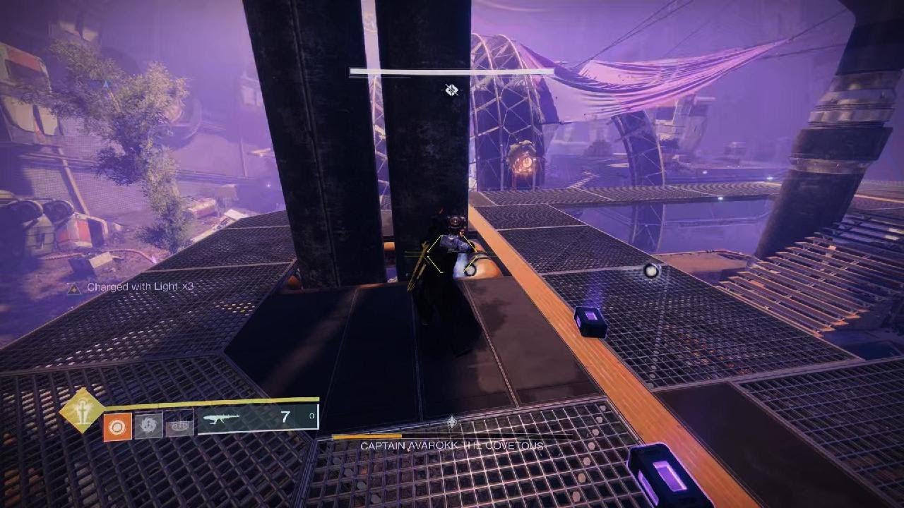 Solo Flawless Graps Of Avarise