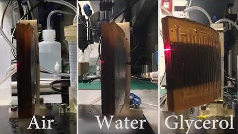 Interaction between Inertia,Viscosity and Elasticity in Soft Robotic Actuator with Fluidic Network