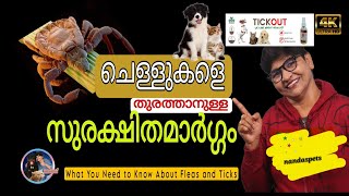 Easy Way To Ticks-Out From Pets @NANDASPets by NANDAS pets 455 views 11 months ago 6 minutes, 23 seconds