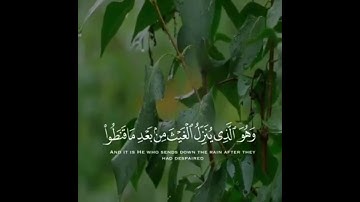 ﴿وَهُوَ الَّذي يُنَزِّلُ الغَيثَ} القارئ محمد المقحم