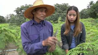 คนไทยหัวใจเกษตร OA B2 02 03 59