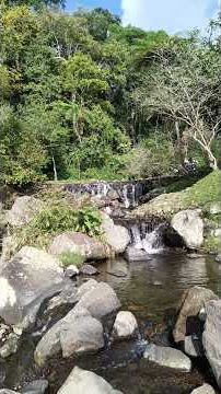 sungai jernih #keindahanalam #kebunrayacibodas #river