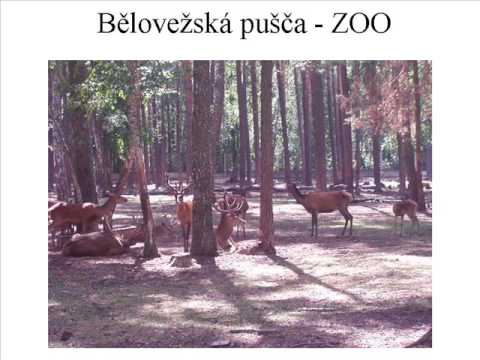 Video: Cesta Do Běloruska Autem, Polotsk, část 6