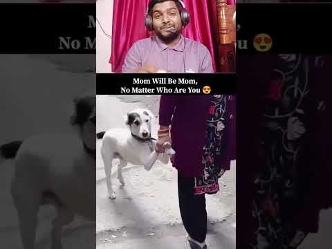 मां तो मां होती हैँ मां का प्यार का कोई मोल नहीं है  |