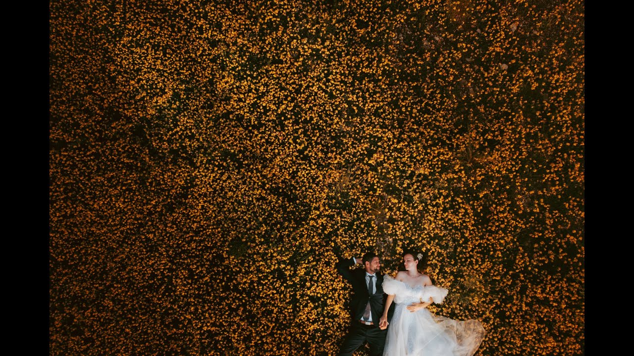 Noémi & Krisztián - Wedding Video Highlights