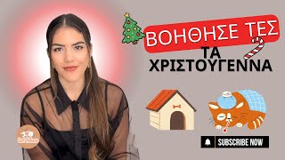 10 Τρόποι να βοηθήσετε μία Αδέσποτη Γάτα αυτά τα Χριστούγεννα