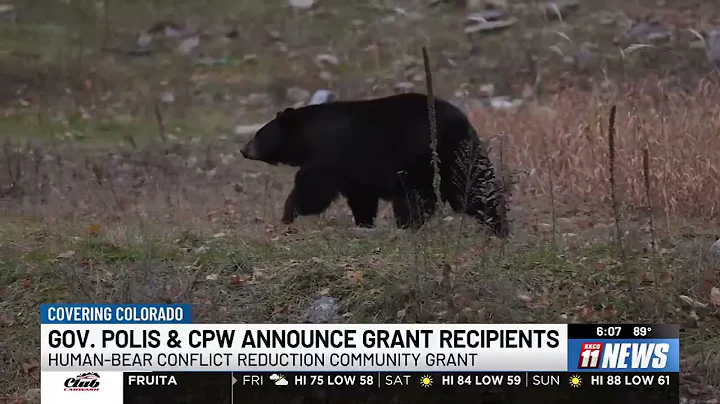 CPW awards grants to reduce human-bear conflicts