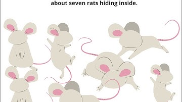 Short Stories Series| A Greedy Snake, by Faisal