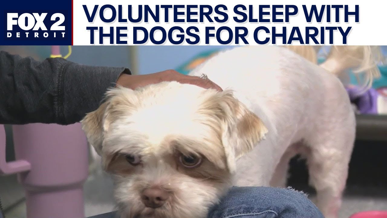 Detroit shelter volunteers sleep with the animals in charity event