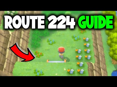 HOW TO GET TO ROUTE 224 ON POKEMON BRILLIANT DIAMOND AND SHINING PEARL