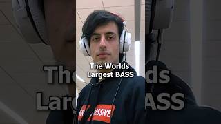 BIG BASS