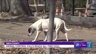 Smith County Animal Control calls reach all-time high