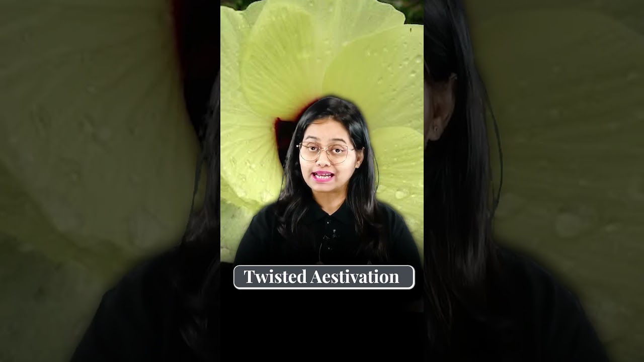 1 Minute = 1 Family | MALVACEAE #neet2024 #neetpreparation