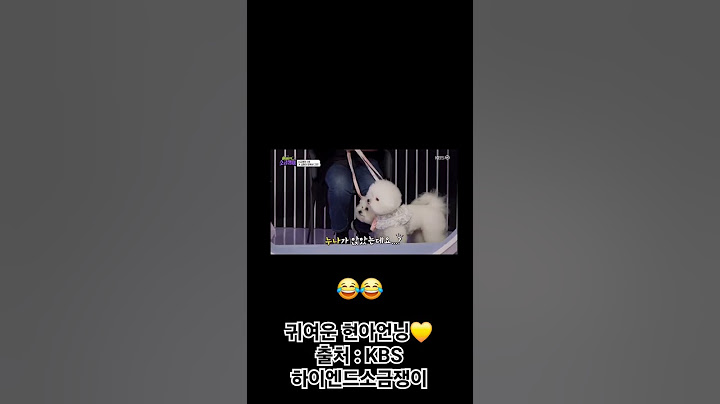 귀여운 현아언닝 💛 #어반자카파 #조현아 #권순일 #박용인 #하이엔드소금쟁이