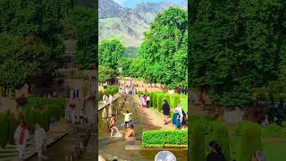 Nishat bagh kashmir #viral #nature #flowers #jammukashmir #trending #jannatkashmir #travel