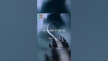 سورة النور🌸القران الكريم
