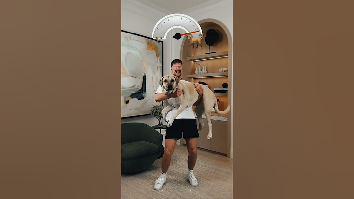 Holding Bigger And Bigger Dogs