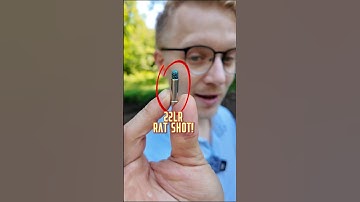 What Is My Most NON-LETHAL Round!